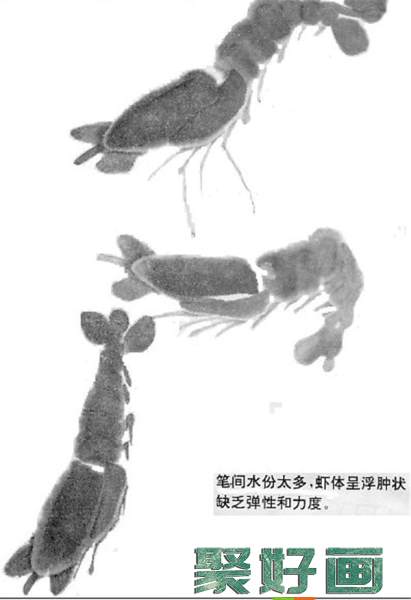 国画虾的画法