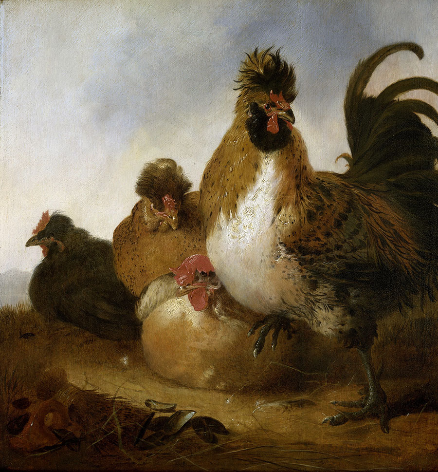 阿尔伯特·库普作品: 几只鸡油画欣赏