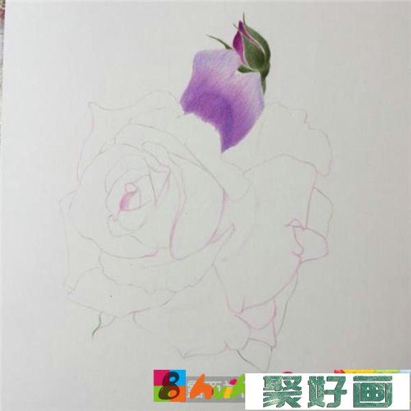 别样的月季花彩铅画