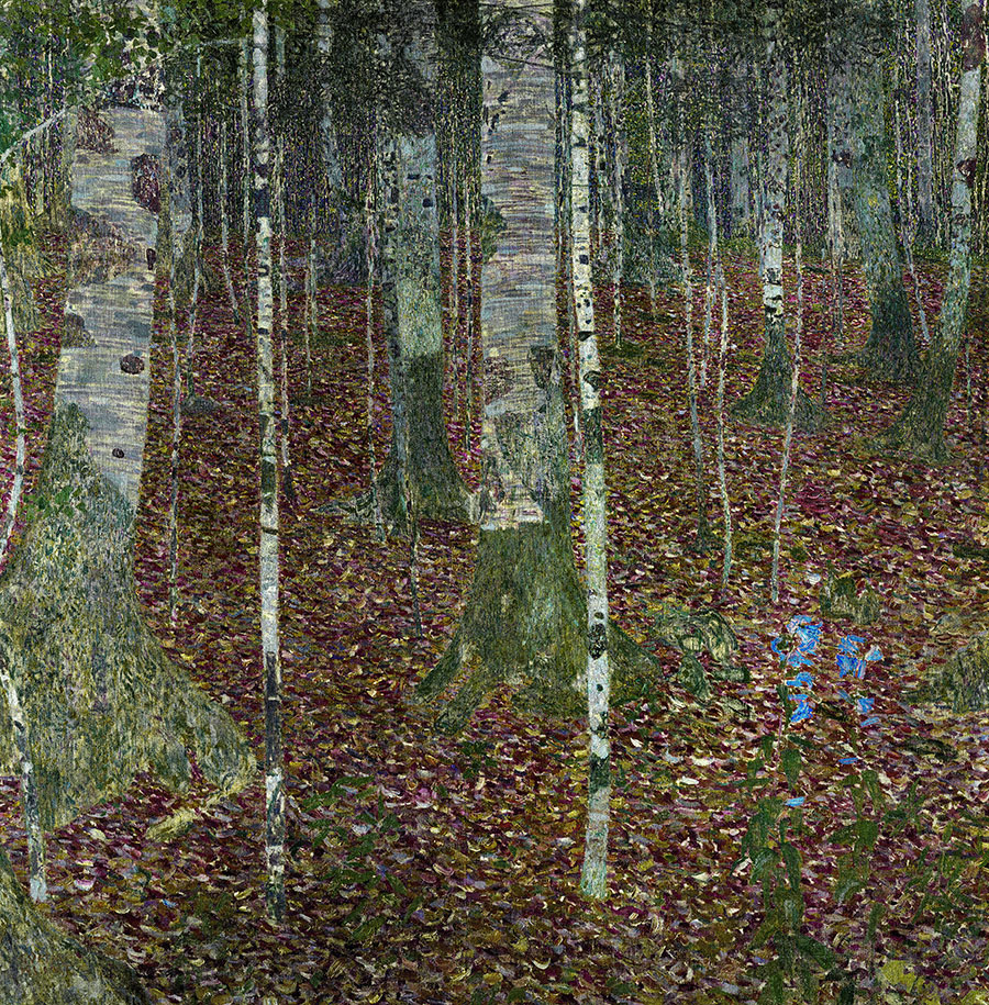 克里姆特作品:  白桦林 Beech Forest (Birch Forest)