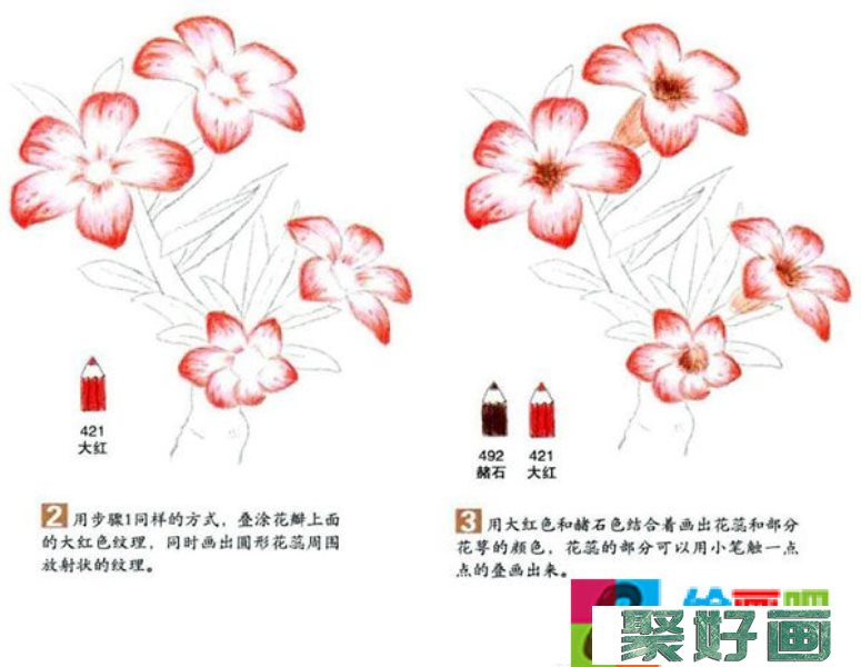 沙漠玫瑰彩铅画怎么画？彩铅画花卉绘画教程