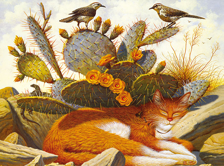 波西米亚猫系列:仙人掌和睡觉的猫