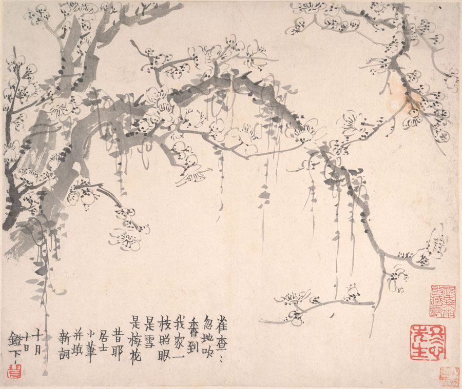 清 金农 梅花图册 国画高清大图下载 04