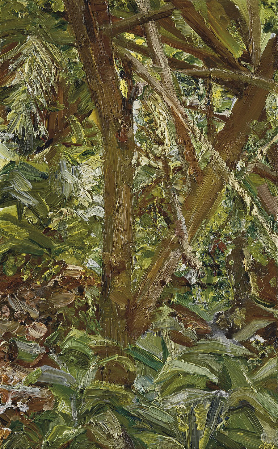 英国画家卢西安弗洛伊德风景油画作品