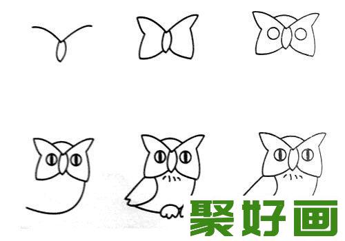 动物简笔画：猫头鹰简笔画的画法