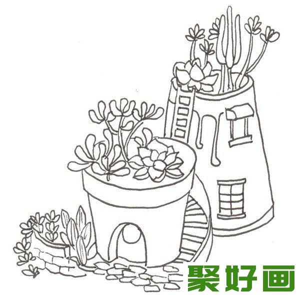 卡通画  多肉