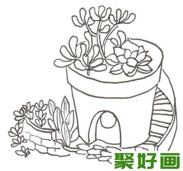 卡通画  多肉  小植物