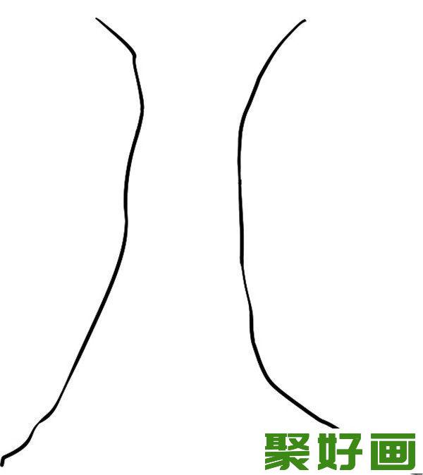 简笔画  树干