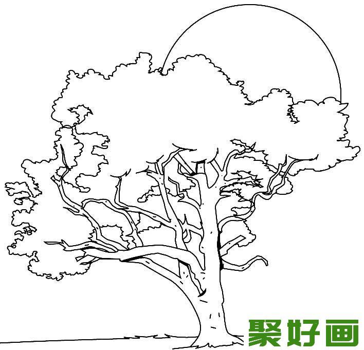 大树简笔画,各种各样的树简笔画图片