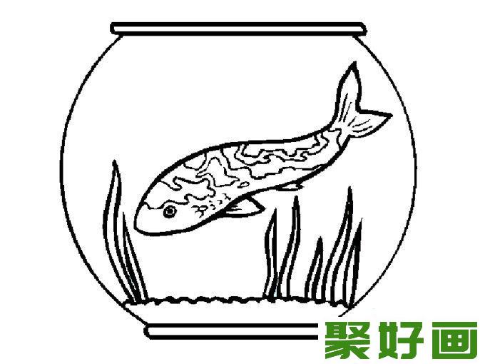 简笔画鱼，鱼的简笔画图片（10）