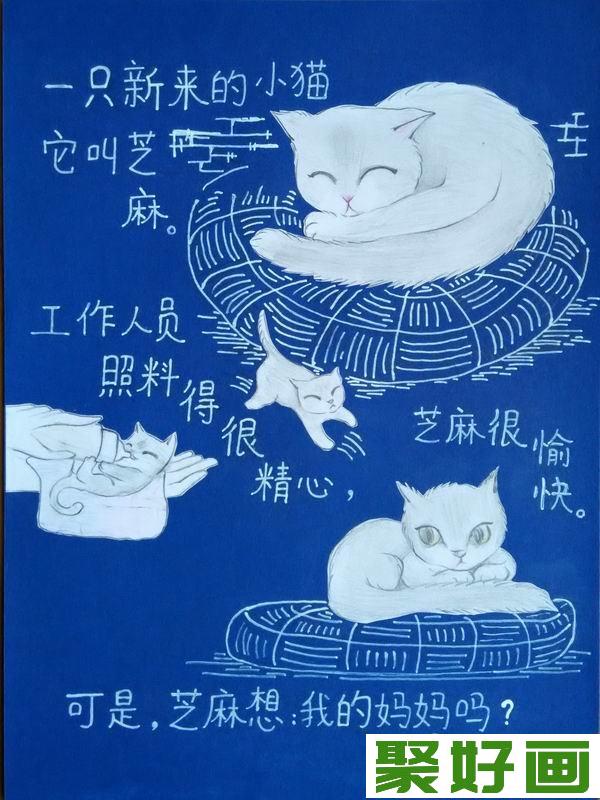 儿童绘本小猫咪