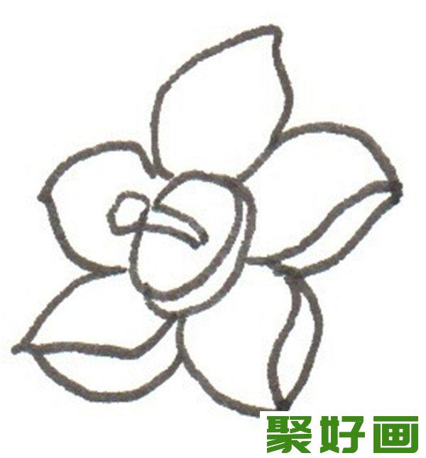 卡通画  水仙花 花瓣