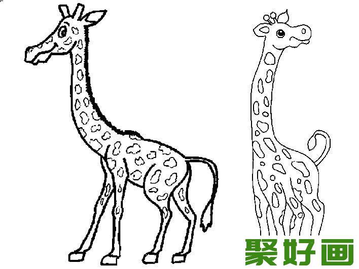 长颈鹿简笔画图片大全