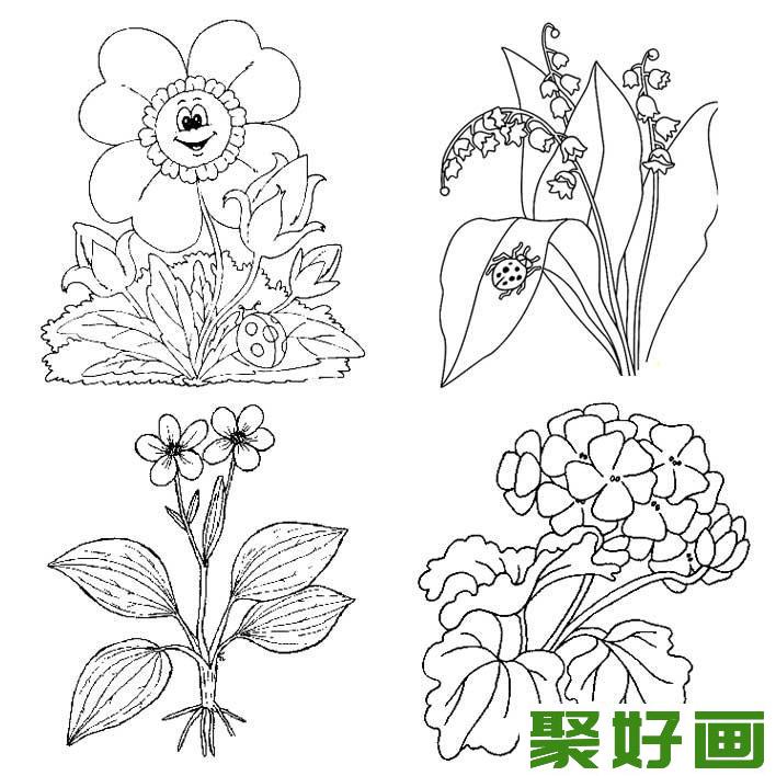 花朵简笔画图片大全