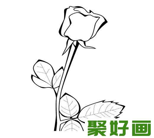 玫瑰花简笔画