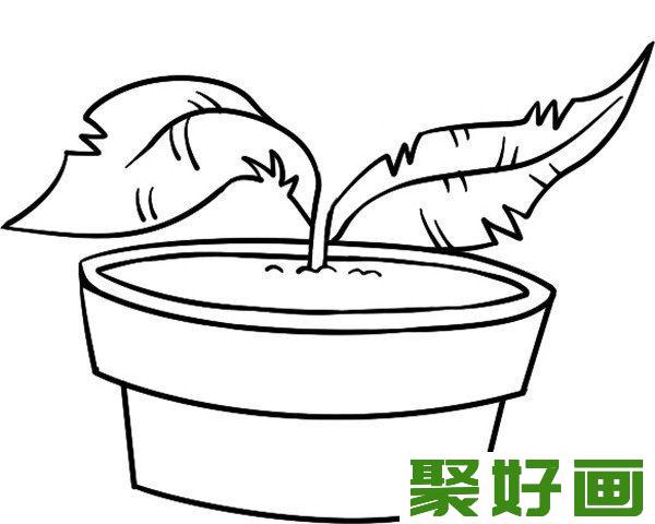 简笔画食人草叶子