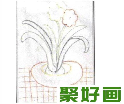 儿童学画画：水仙花绘画步骤教程