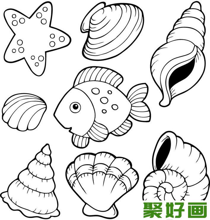 海洋动物和海洋生物简笔画图片