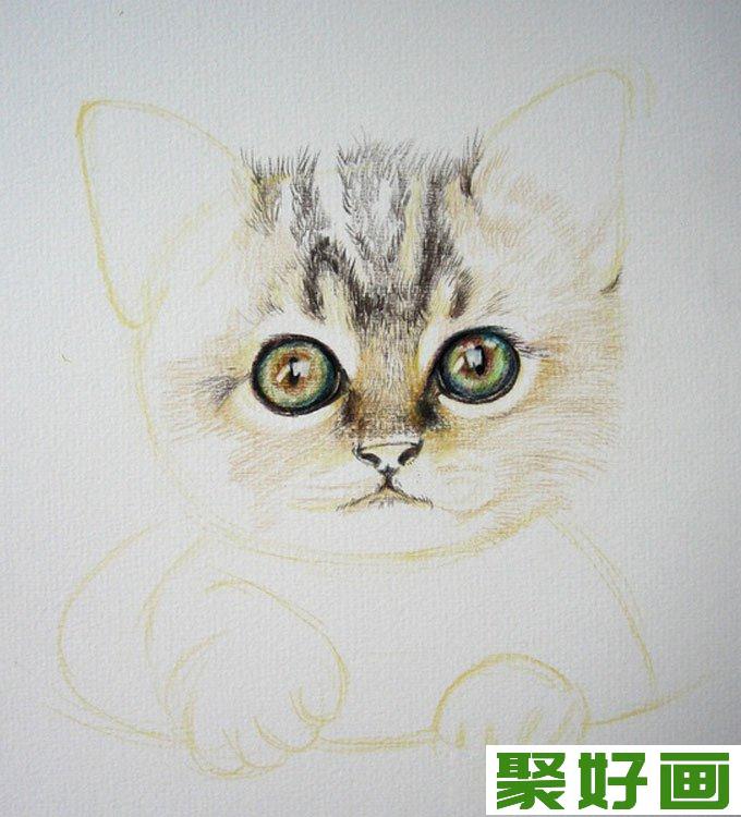 用彩色铅笔画猫咪的教程第（4）步：头顶部的深色毛，一根根的画