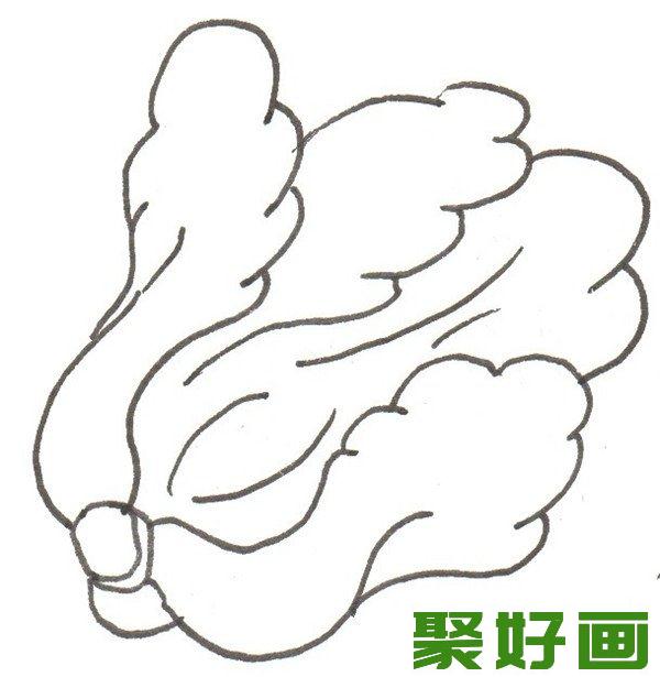 卡通画   大白菜