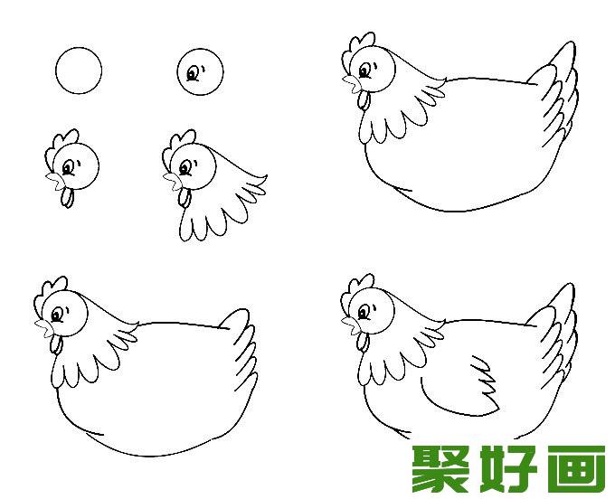 简笔画老母鸡画法图文教程（1）