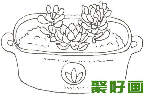 卡通画  多肉