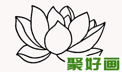 荷花简笔画