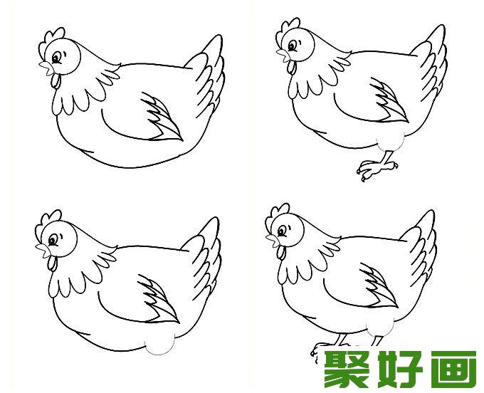 简笔画老母鸡画法图文教程（2）