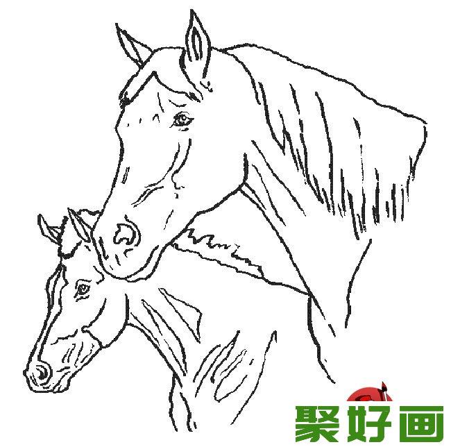 简笔画马,关于马的简笔画9