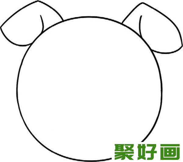 简笔画  小猪  长耳朵