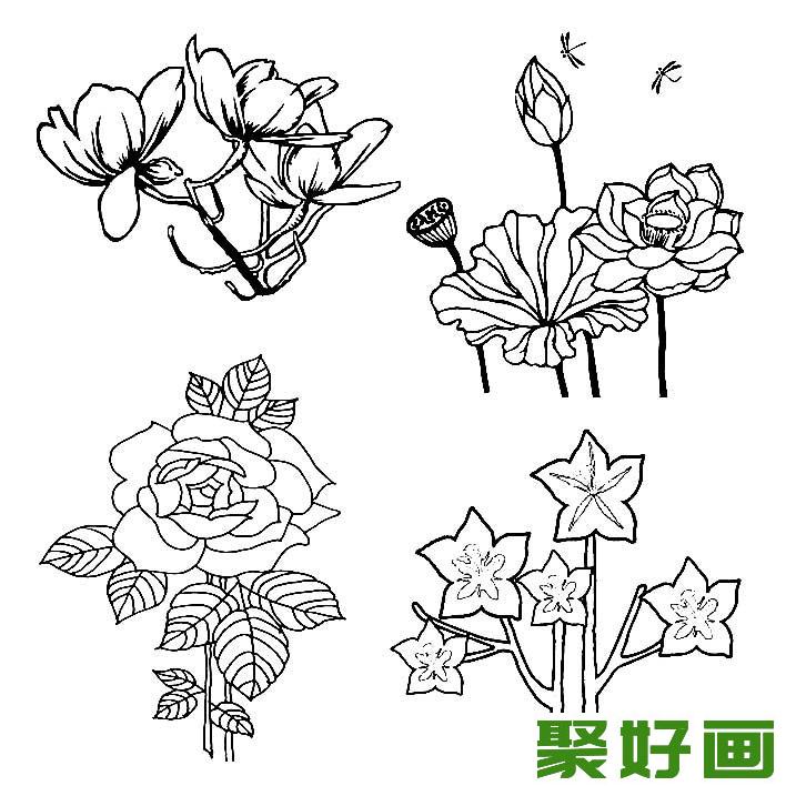 花朵简笔画图片大全