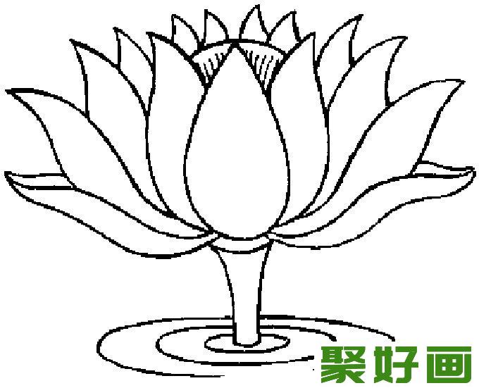 简笔画花卉图片大全，简笔画花儿11