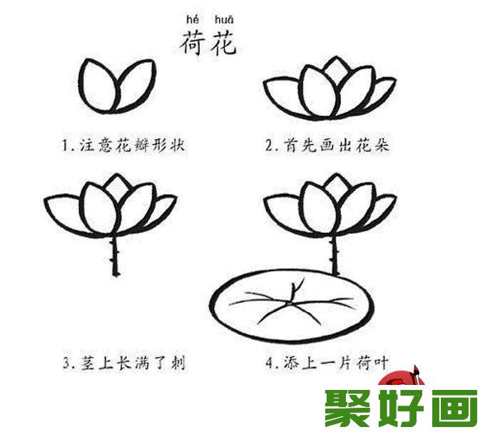 100个简笔画教程大全 -荷花的画法图片