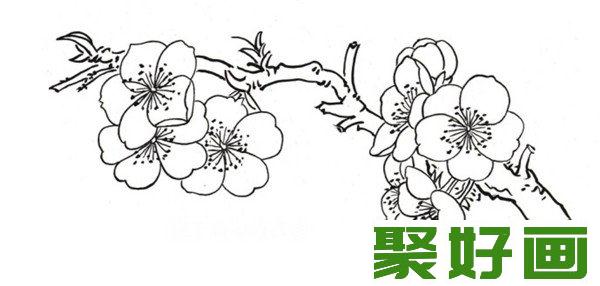 白描桃花枝干