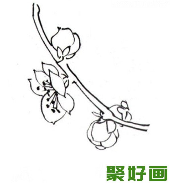 白描红梅单支