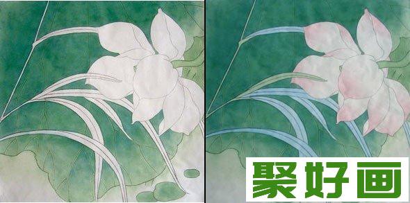 国画工笔荷花,国画荷花的画法,荷花绘画教程