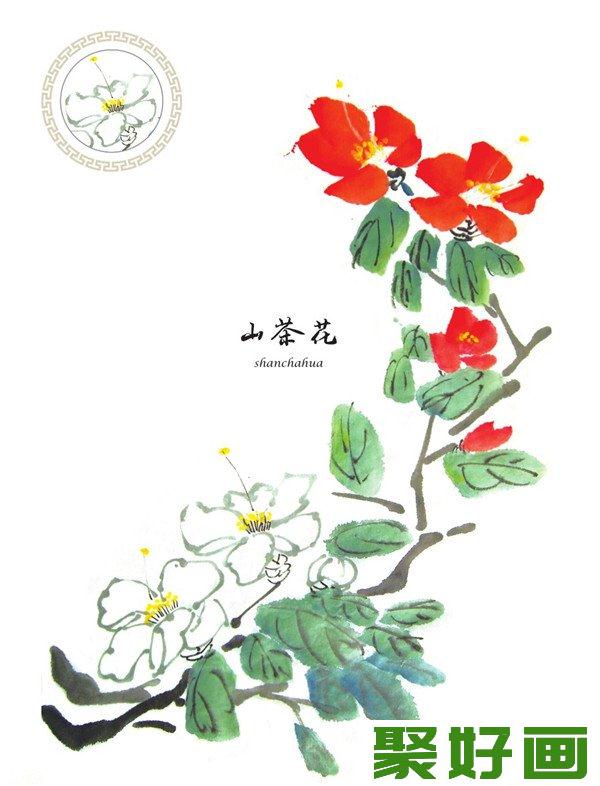 国画山茶花画法