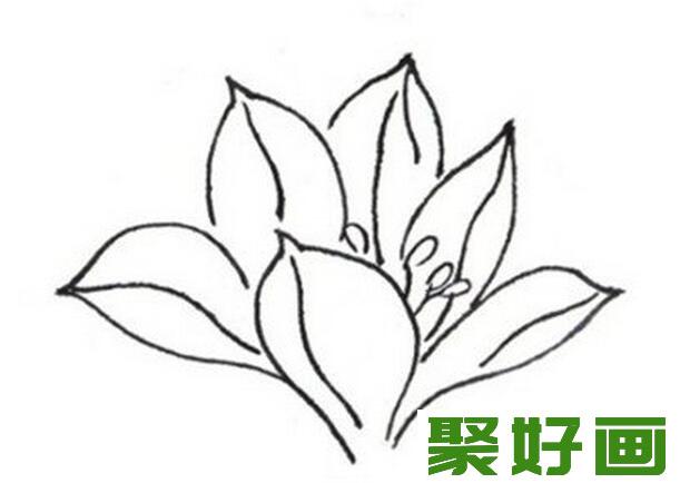 白描马兰花