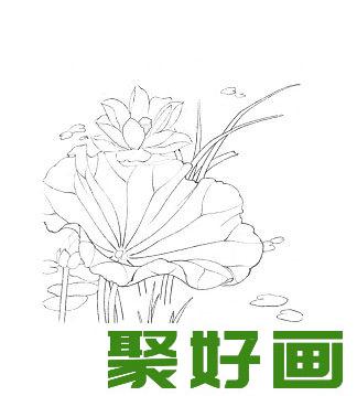 国画白荷花绘画教程