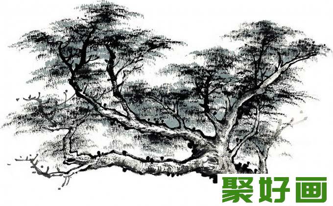 国画松树的画法：松柏松树水墨画图片大全08