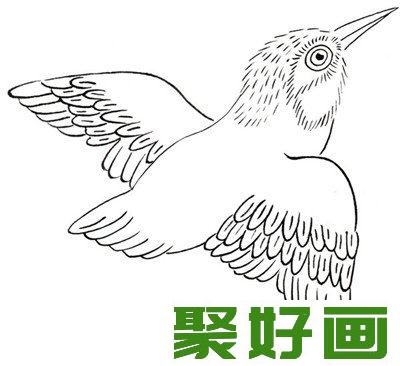 翠鸟白描画法