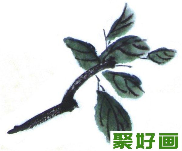 国画山茶花枝杆