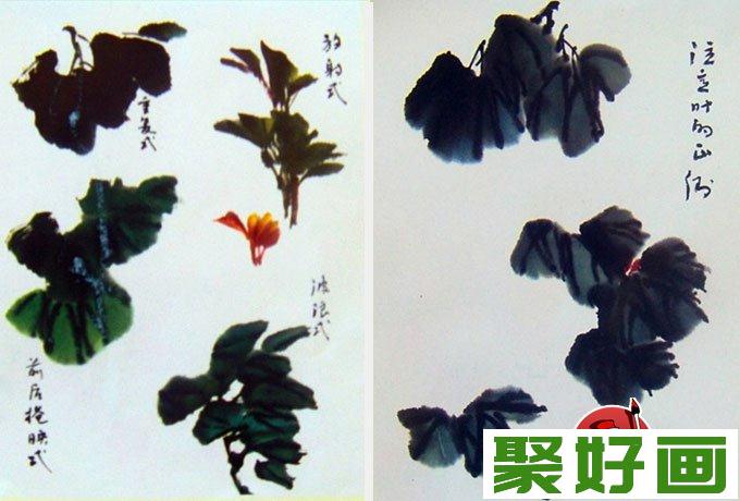 国画写意牡丹的画法步骤,牡丹的花朵叶子枝干画法