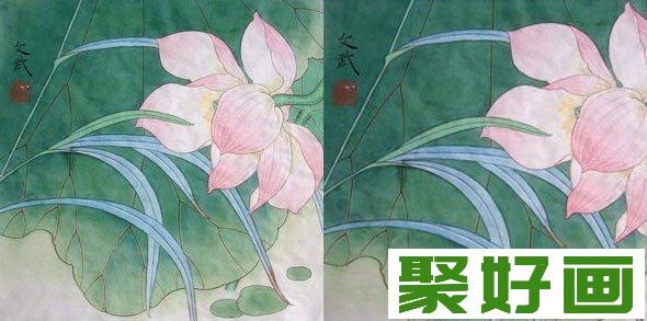 国画工笔荷花,国画荷花的画法,荷花绘画教程