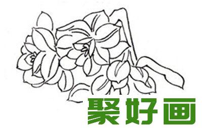 白描水仙花朵叠加侧面