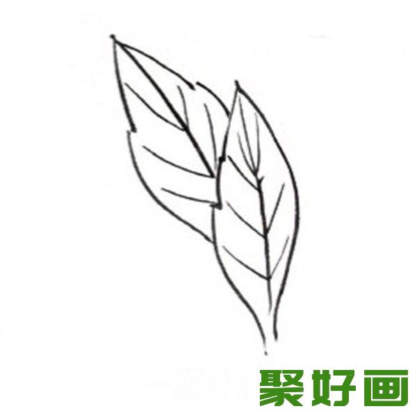 白描大丽花步骤教程