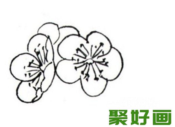 白描红梅侧面