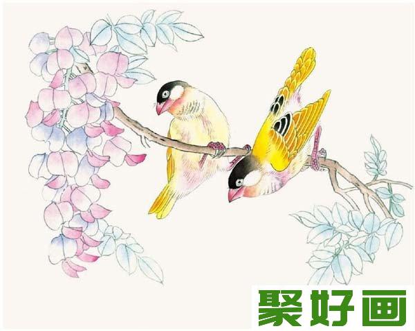 工笔画芙蓉鸟入门教程