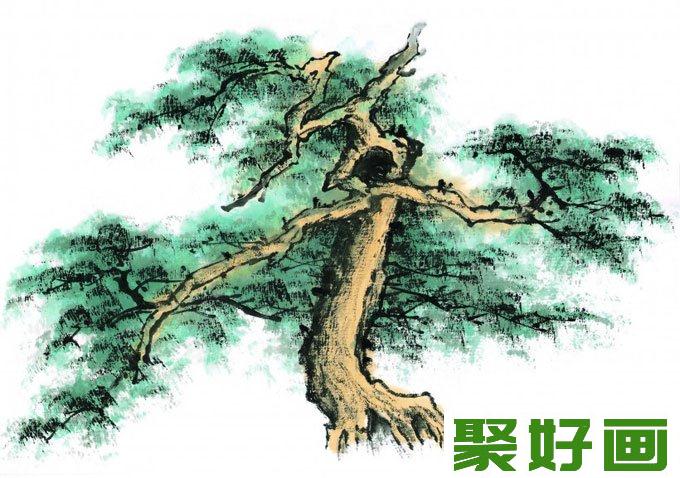 国画松树的画法:松柏松树水墨画图片大全01