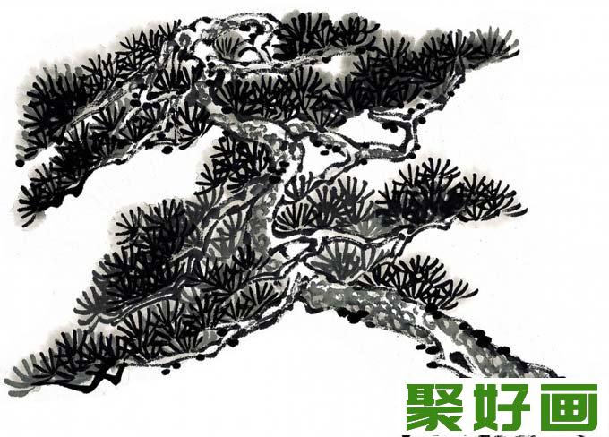 国画松树的画法：松柏松树水墨画图片大全04